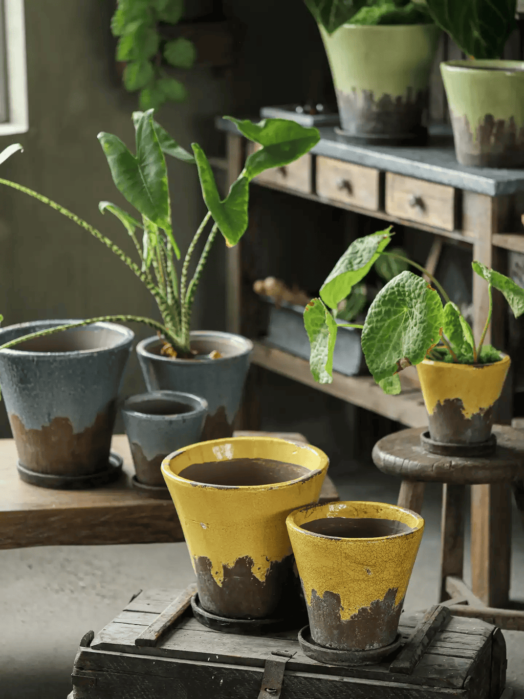 Weathered Heritage Ceramic Flower Pot with Saucer