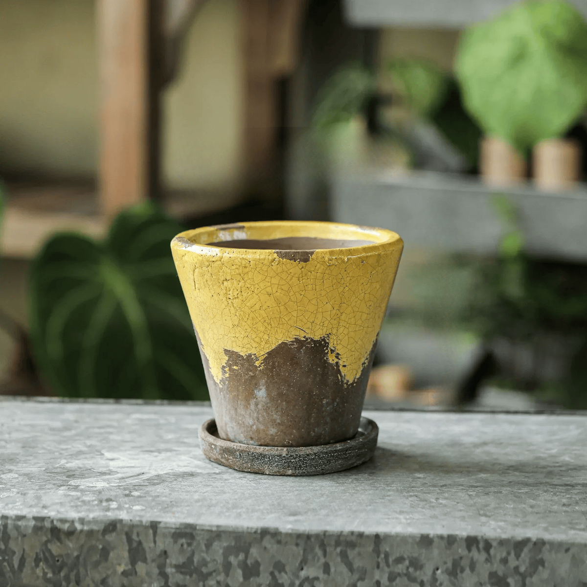 Weathered Heritage Ceramic Flower Pot with Saucer