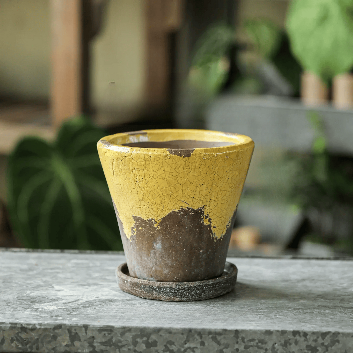 Weathered Heritage Ceramic Flower Pot with Saucer