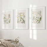 White Frame - w/ mat