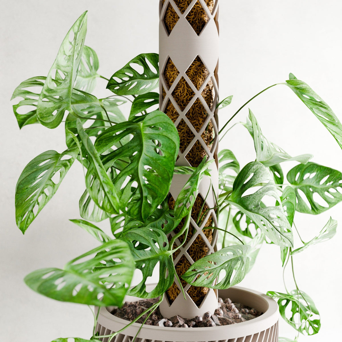 MODULAR Moss Pole for Climbing Plants