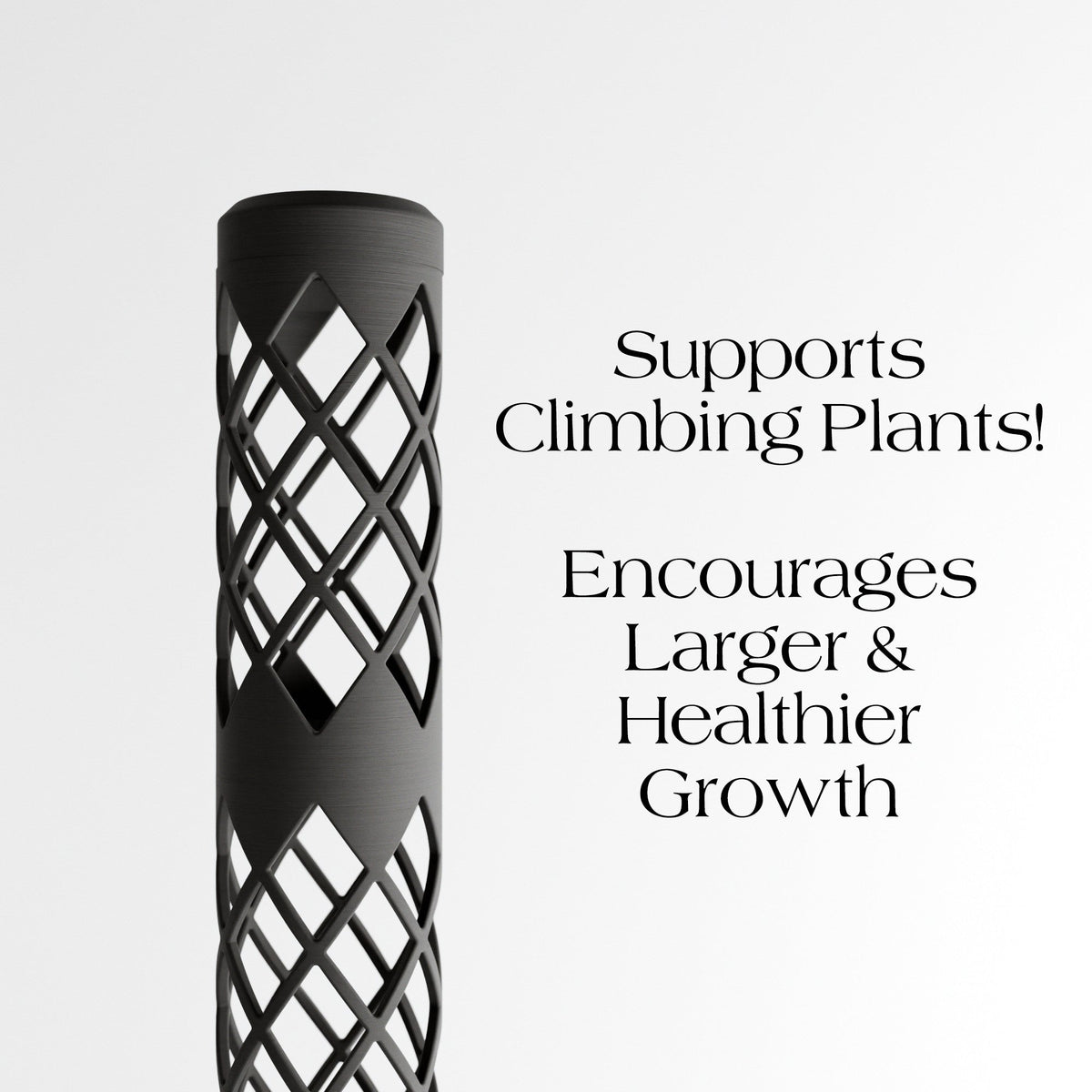 MODULAR Moss Pole for Climbing Plants