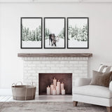 Black Frame - no mat