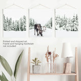Print - unframed