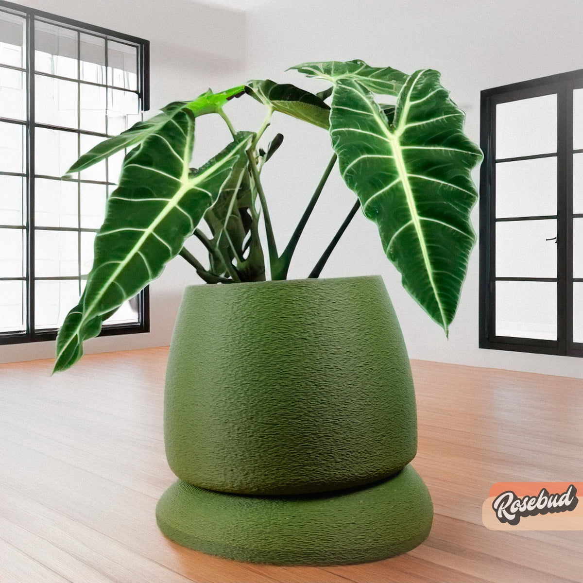 Nubium Planter