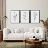 Black Frame - no mat
