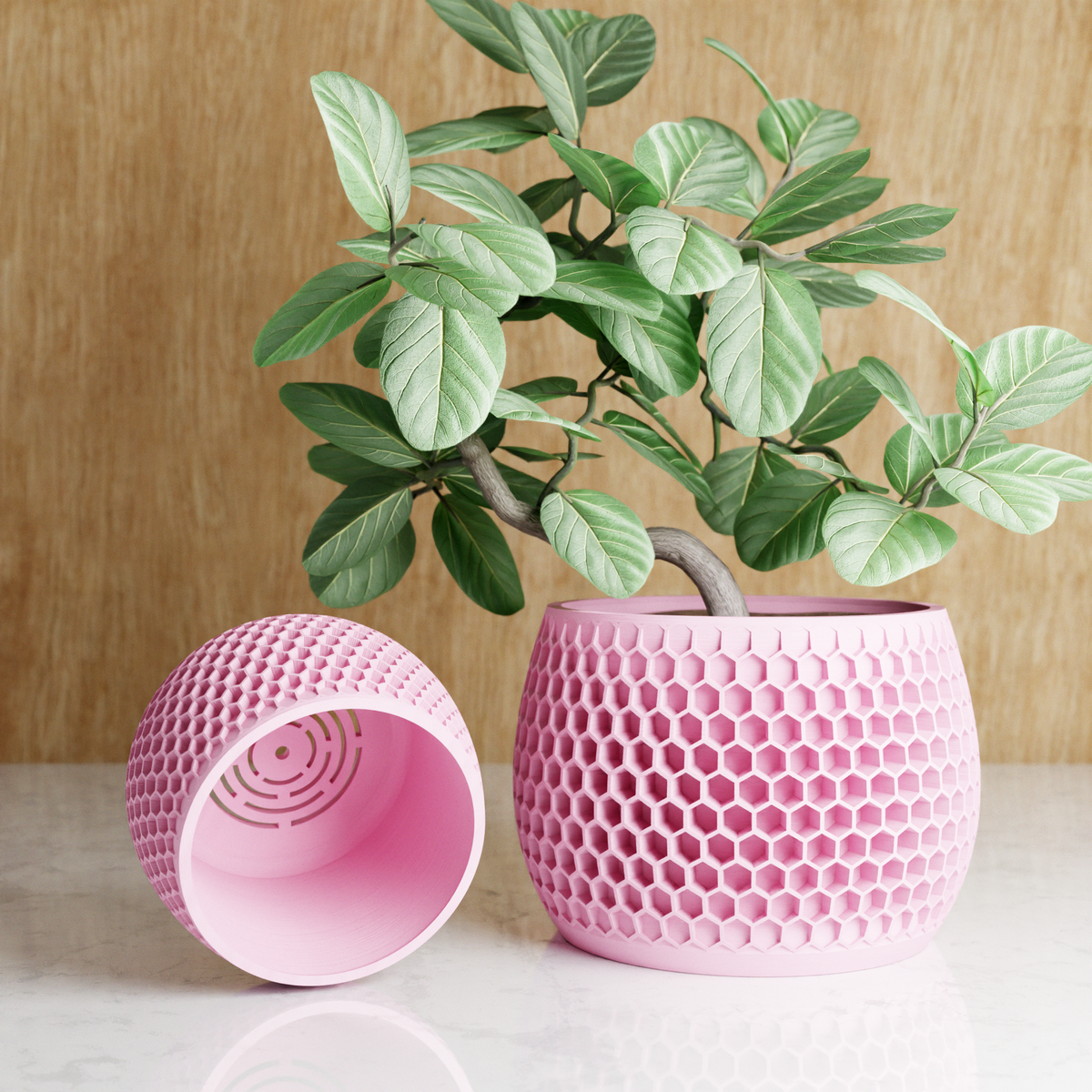 Honeycomb Geometric Planter
