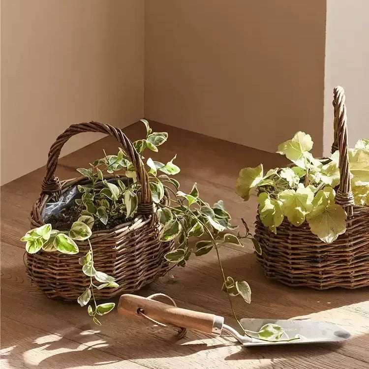 Cottage Harvest Willow Planter Basket with Liner