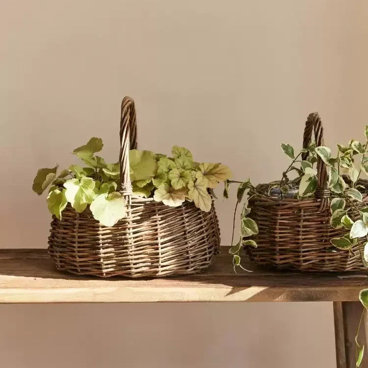 Cottage Harvest Willow Planter Basket with Liner