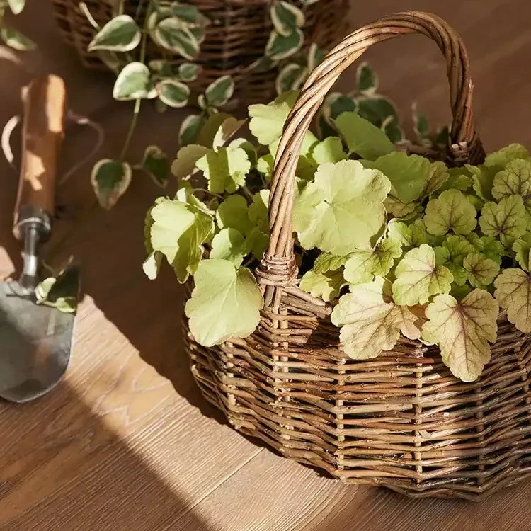 Cottage Harvest Willow Planter Basket with Liner