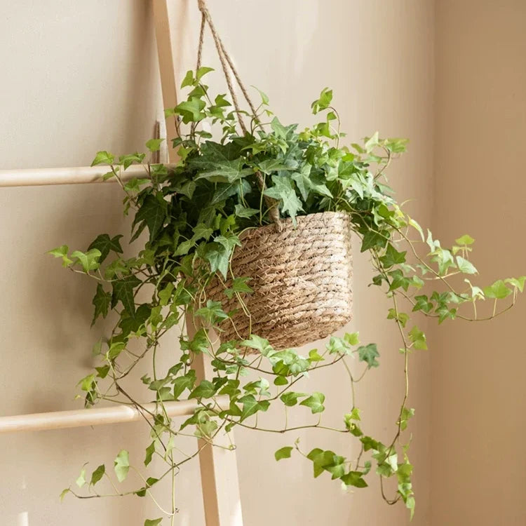 Hanging Seagrass Planter Basket