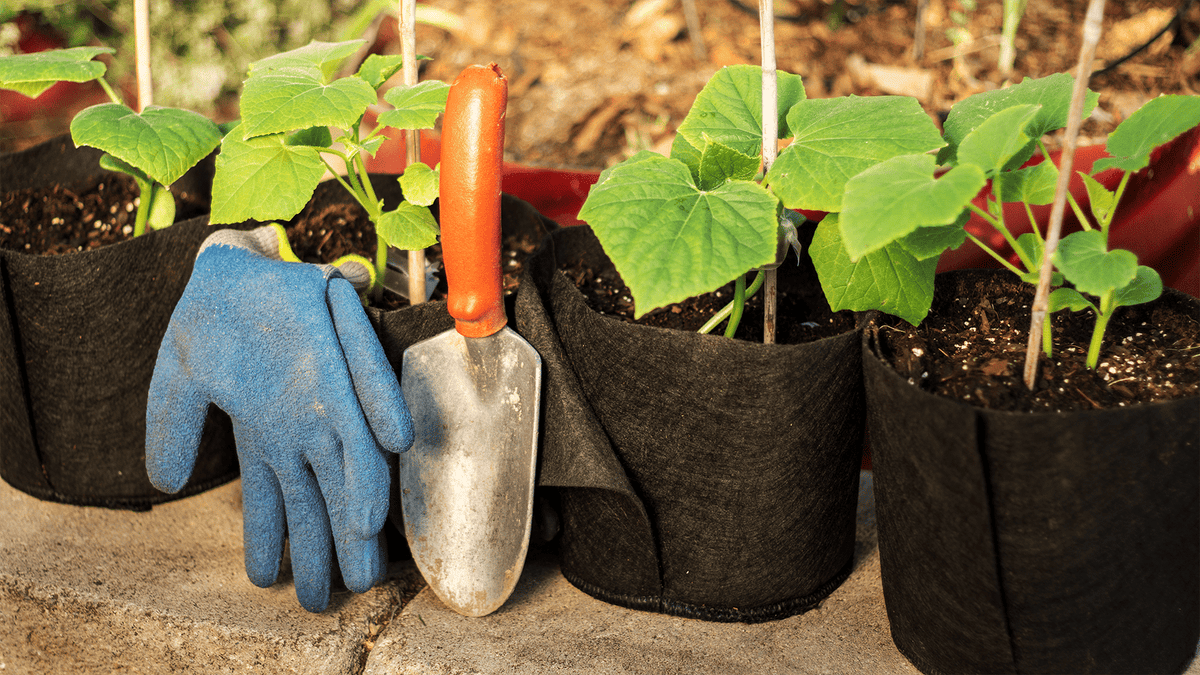 Smart Pot Transplanter Reusable Fabric Planting Pot