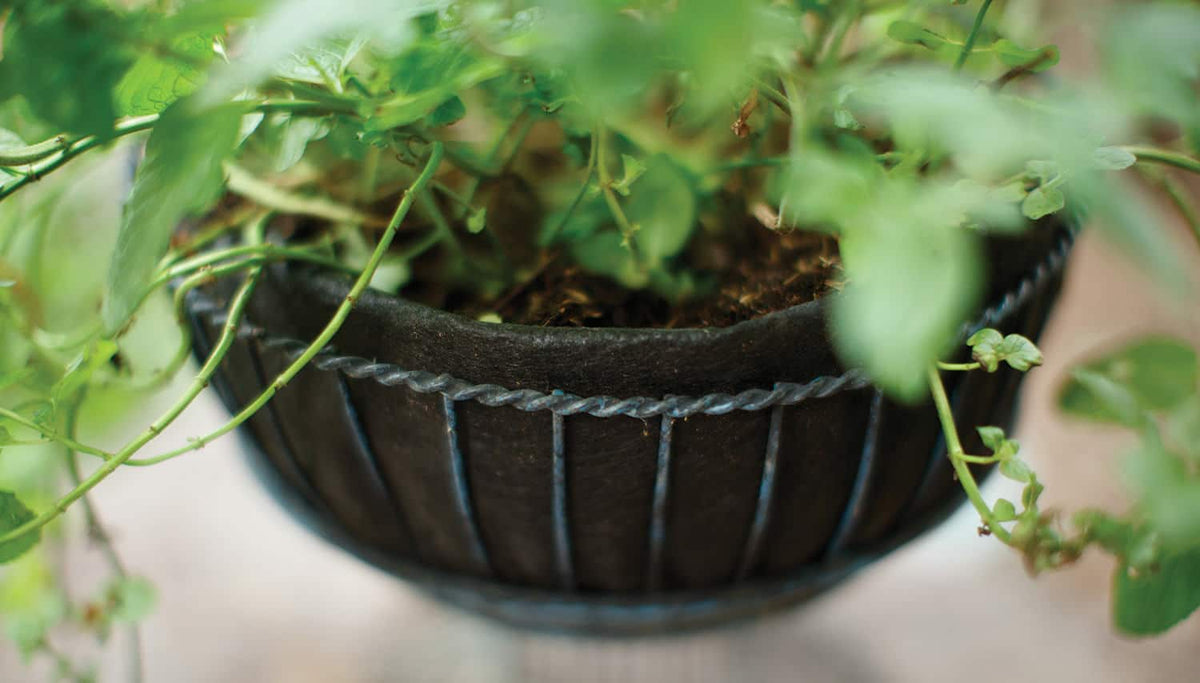 Smart Pot NoCoco Fabric Planter Liner