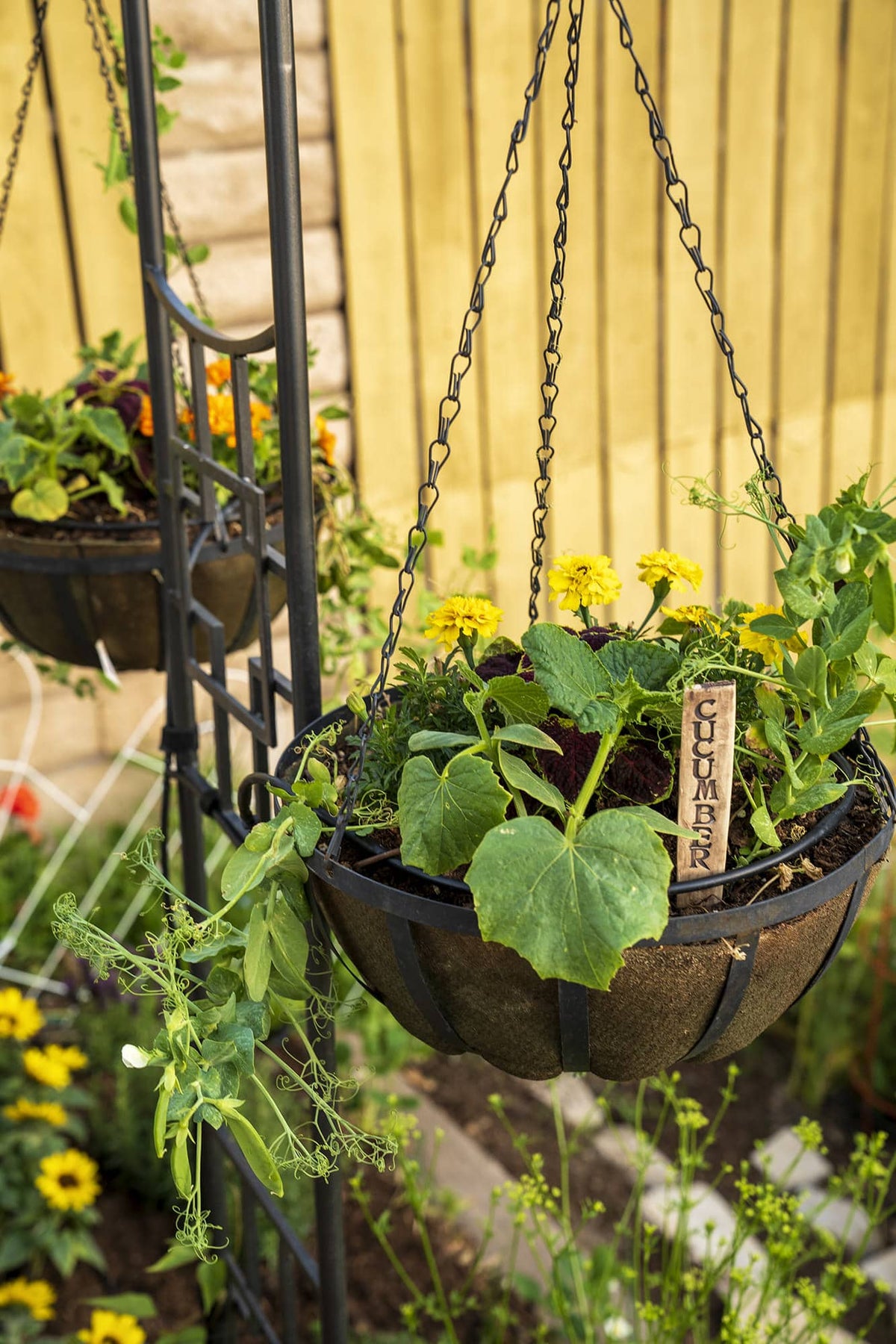 Smart Pot NoCoco Fabric Planter Liner