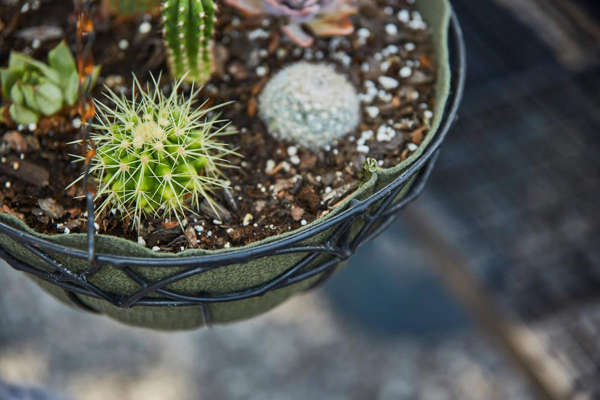 Smart Pot NoCoco Fabric Planter Liner