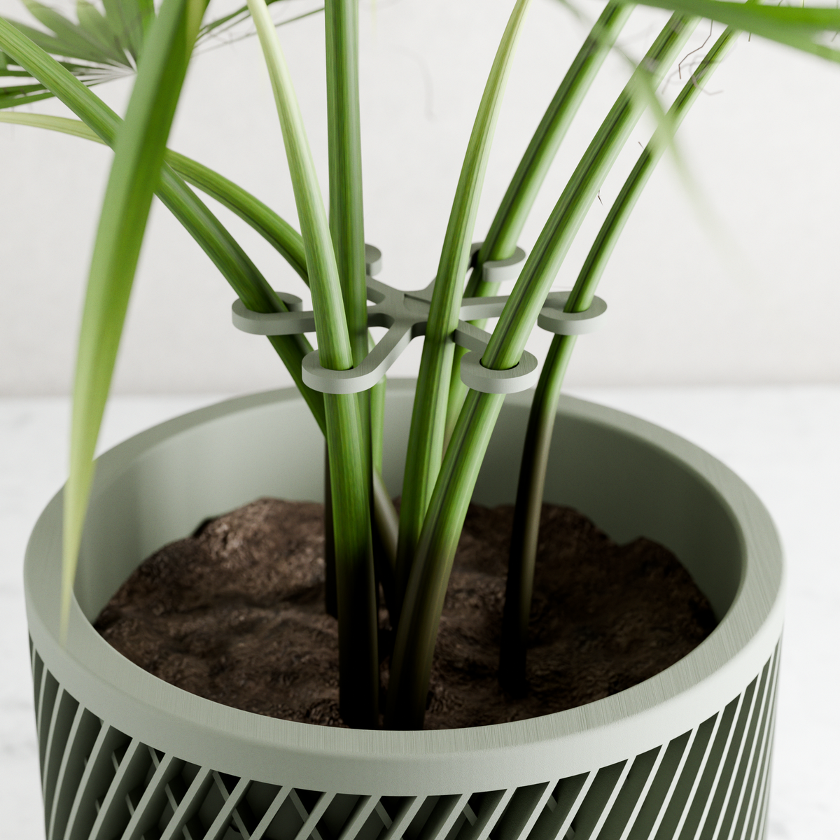 Climbing Plant Stem Support Stakes
