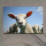 18x12 inch Medium Premium Gallery Wrapped