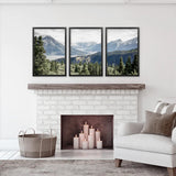 Black Frame - no mat