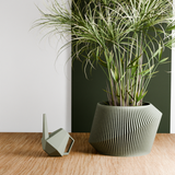 Muted Green