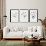 Black Frame - no mat