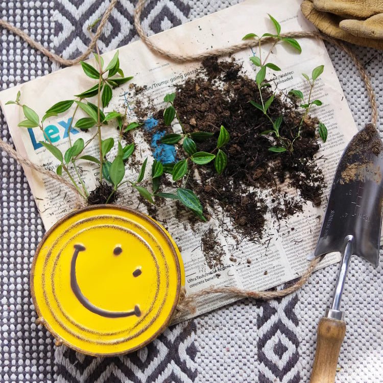 Happy Face Metal Hanging Planter