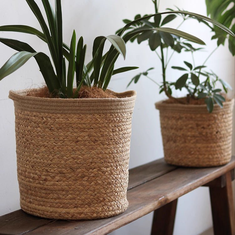 Natural Straw Cylinder Storage and Planter Basket