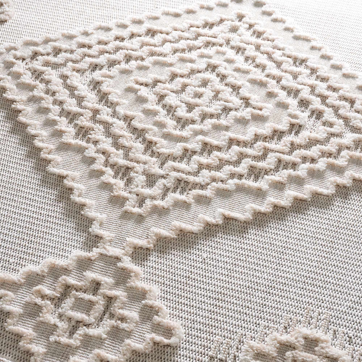 Rosales High-Low Rustic Rug