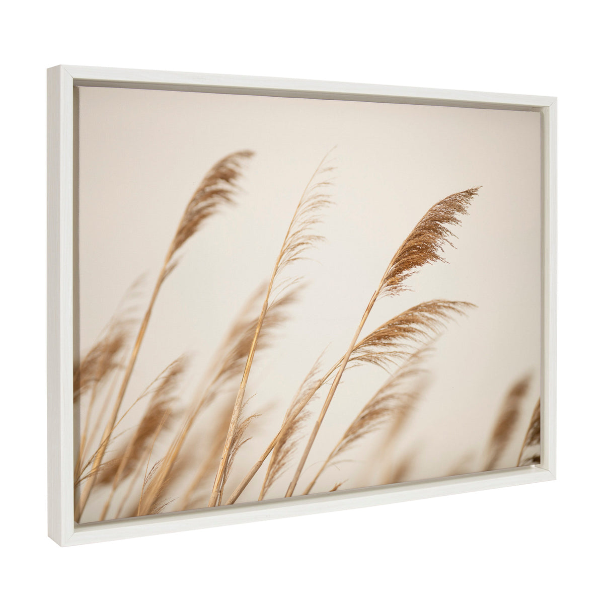 Sylvie Marsh Grass No 8 Framed Canvas by Crystal Lynn Collins
