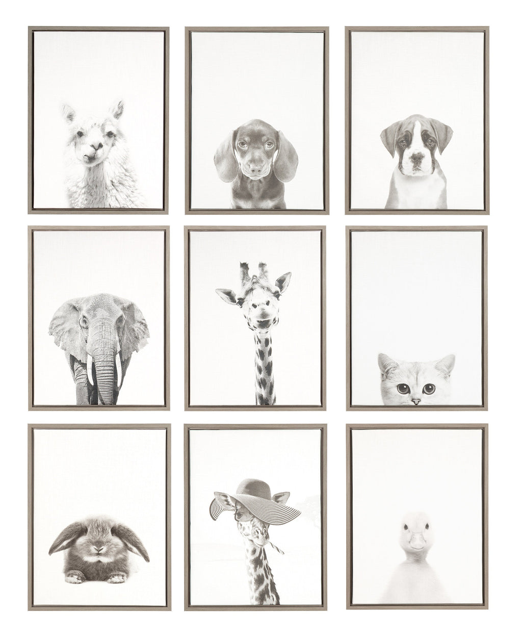 Sylvie Alpaca Framed Canvas by Simon Te of Tai Prints