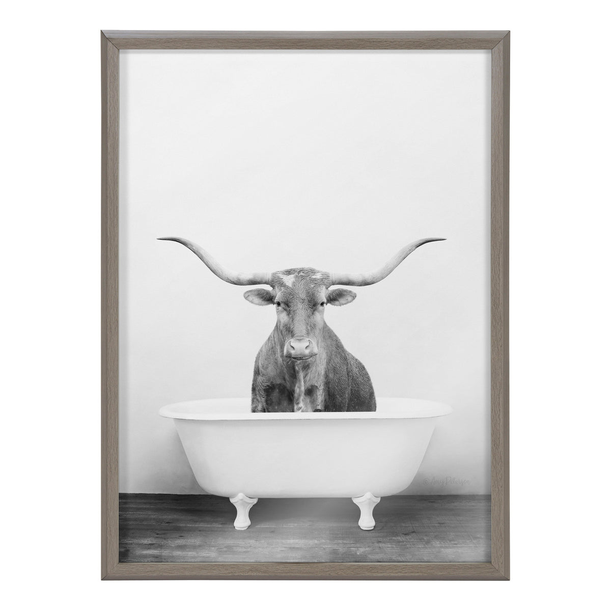 Blake Longhorn BW Bathroom Framed Printed Glass by Amy Peterson Art Studio
