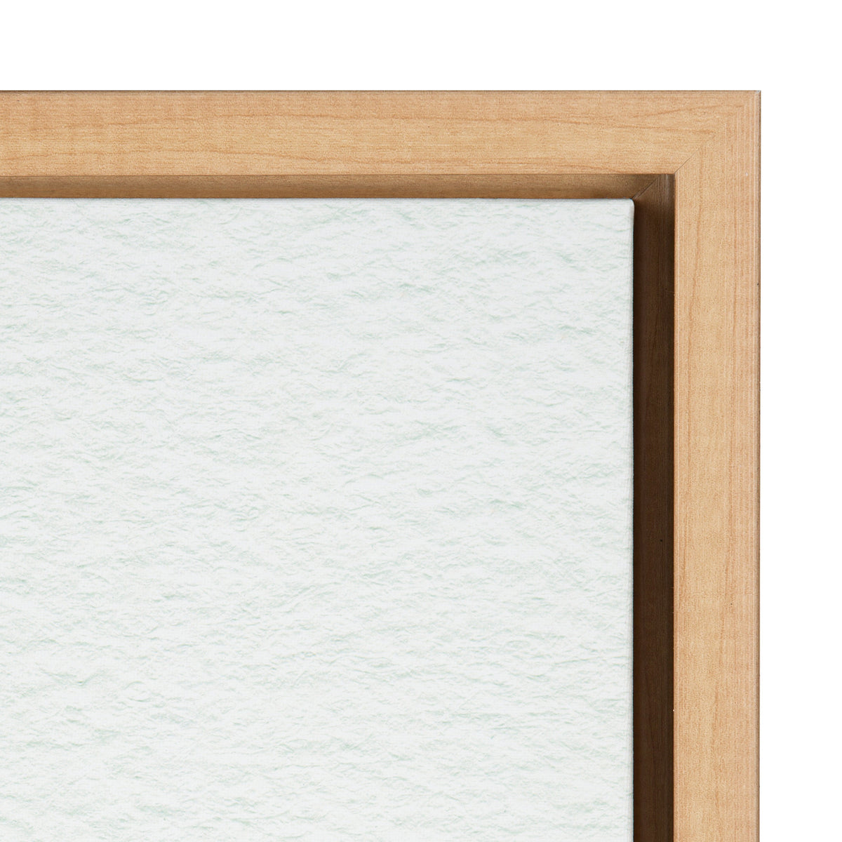 Sylvie Succulent 18 Framed Canvas By Jennifer Redstreake Geary