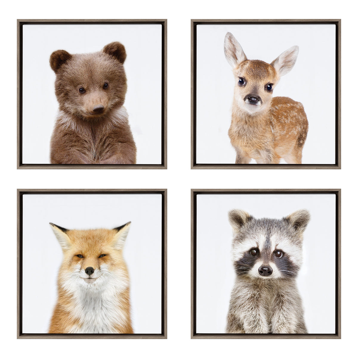 Sylvie Woodland Animal Framed Canvas Art Set by Amy Peterson