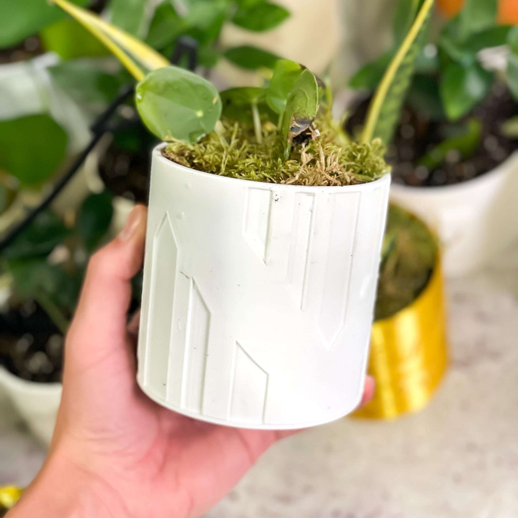 Art Deco Tower Planter