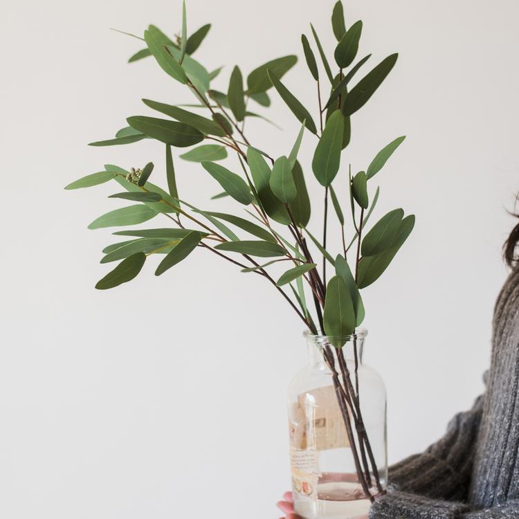 Artificial Eucalyptus Leaf in Various Shapes