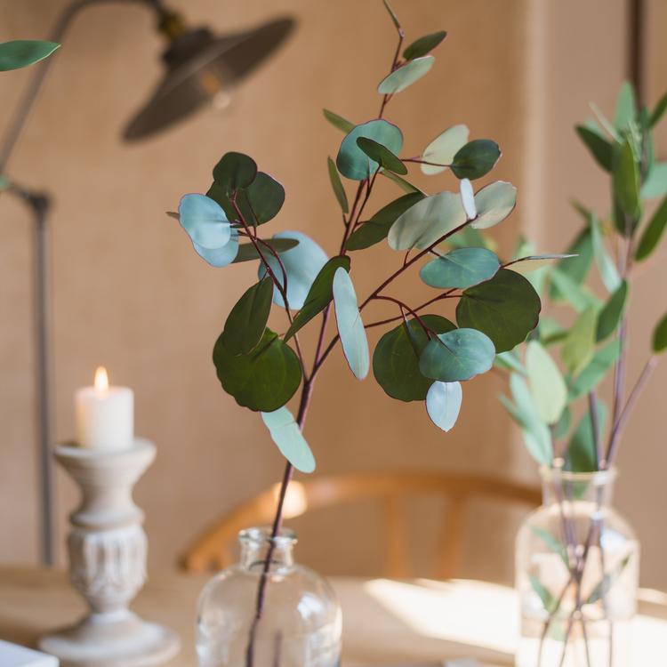 Artificial Eucalyptus Leaf in Various Shapes