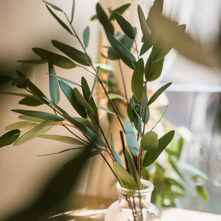 Artificial Eucalyptus Leaf in Various Shapes