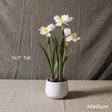 Medium