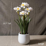 Large