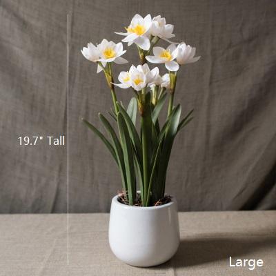 Artificial Silk Real Touch Daffodil Flower Bonsai