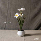 Small