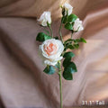 Artificial Silk 4-Bloom Champagne Rose Stem 31" Tall