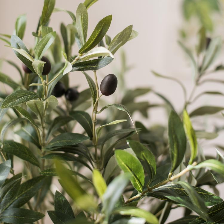 Artificial Large Olive Stem 41" Tall