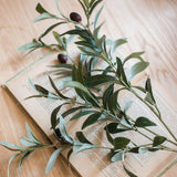 One Stem