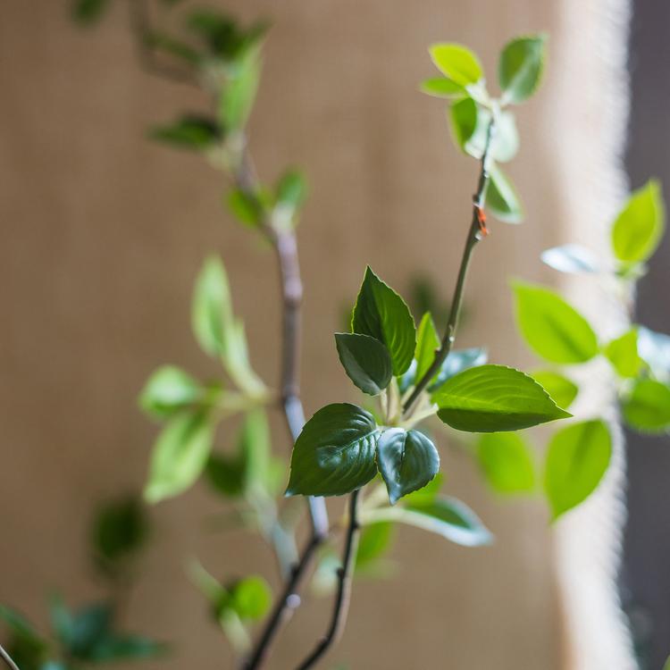 Artificial Green Leaf Tree in Pot