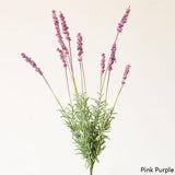 Pink Purple
