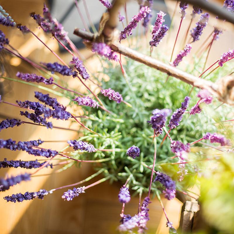 Artificial Silk Provence Lavender Stem 21" Tall
