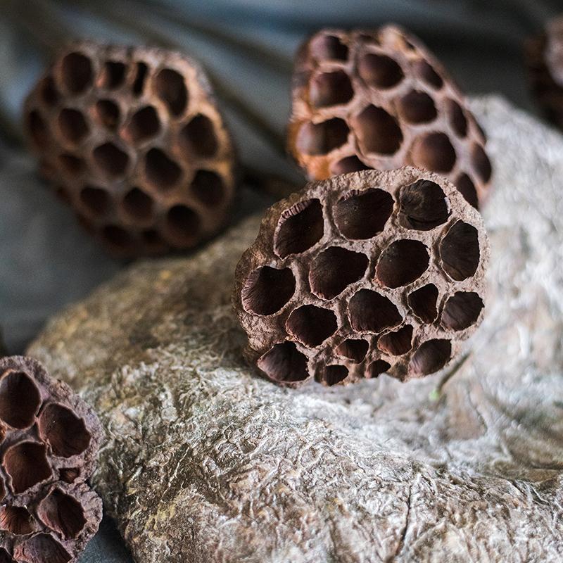 Artificial Dried-Look Lotus Leaf or Pod