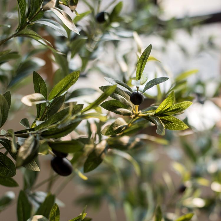 Artificial Silk Olive Tree in Pot