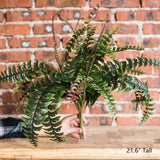 One Stem