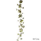 One Stem